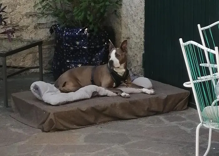 B&B Ramirise Ramiseto